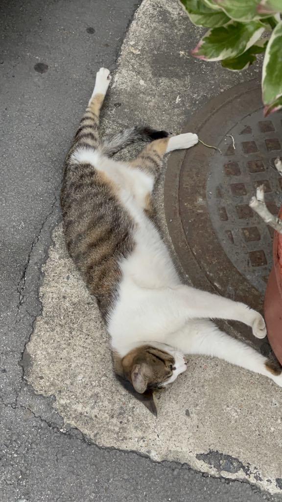 江河