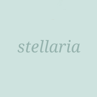 Stellaria.K