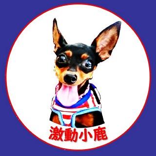 激動小鹿新創商店