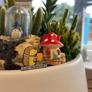 刺蝟二手書店