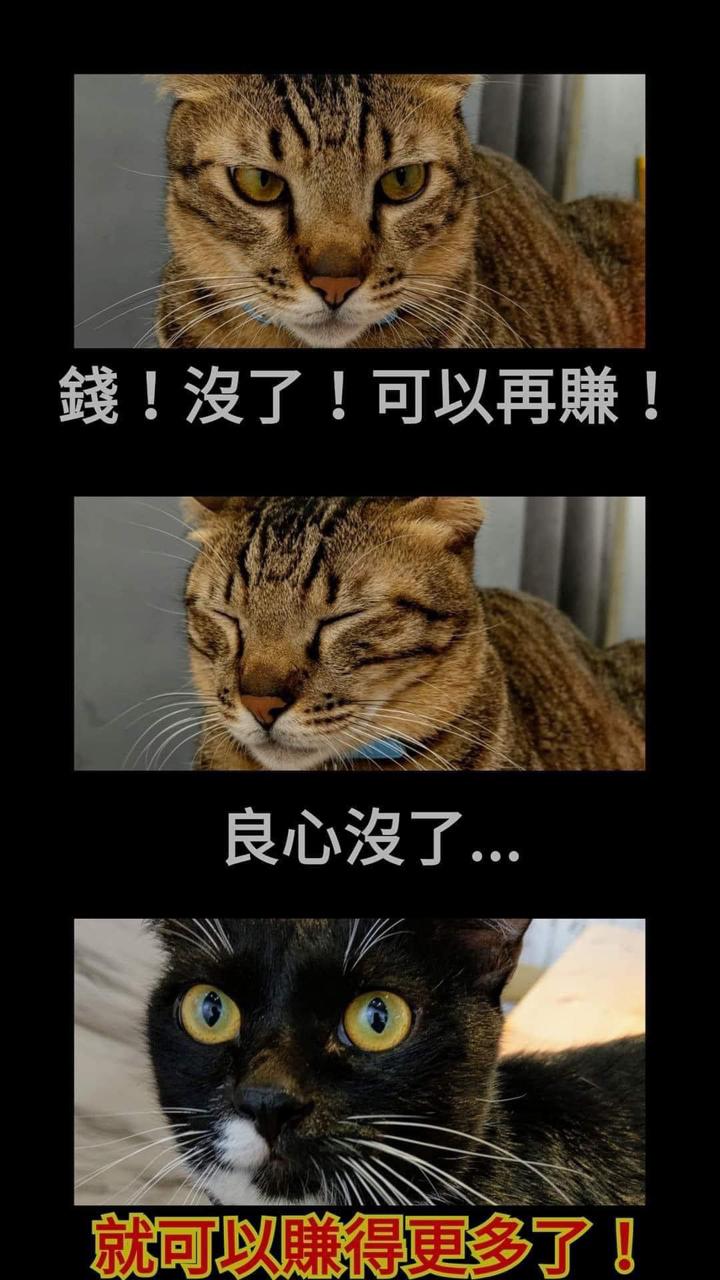 暗藏玄機-個人物品出清