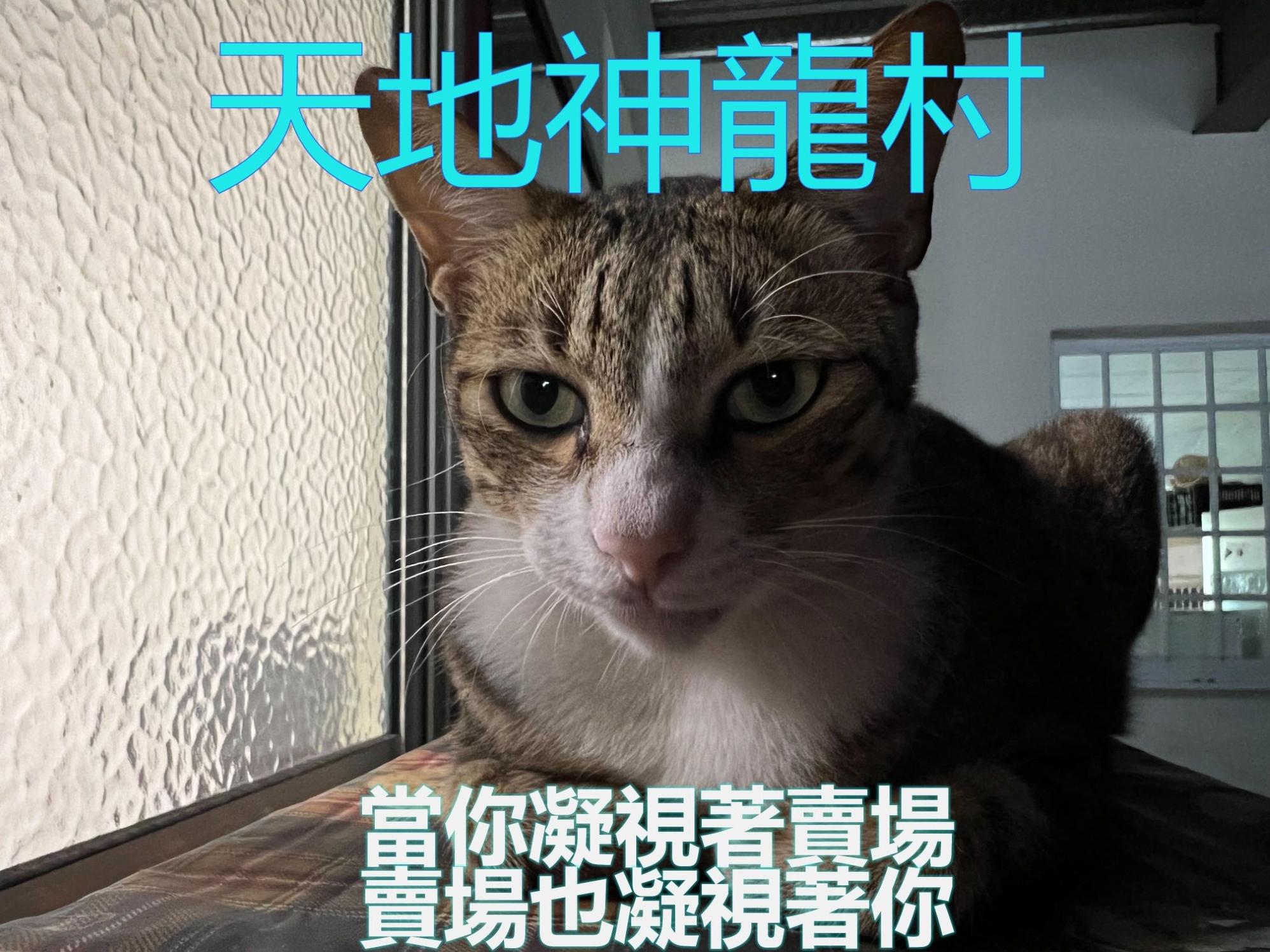 退貨政策