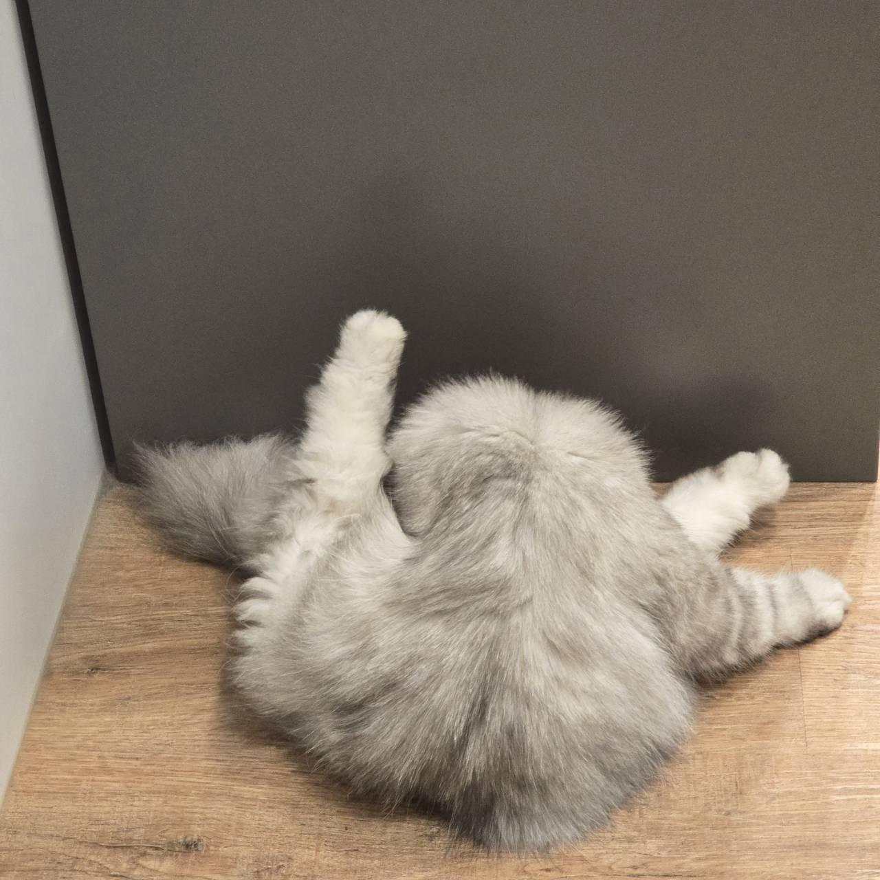 二手雜貨屋