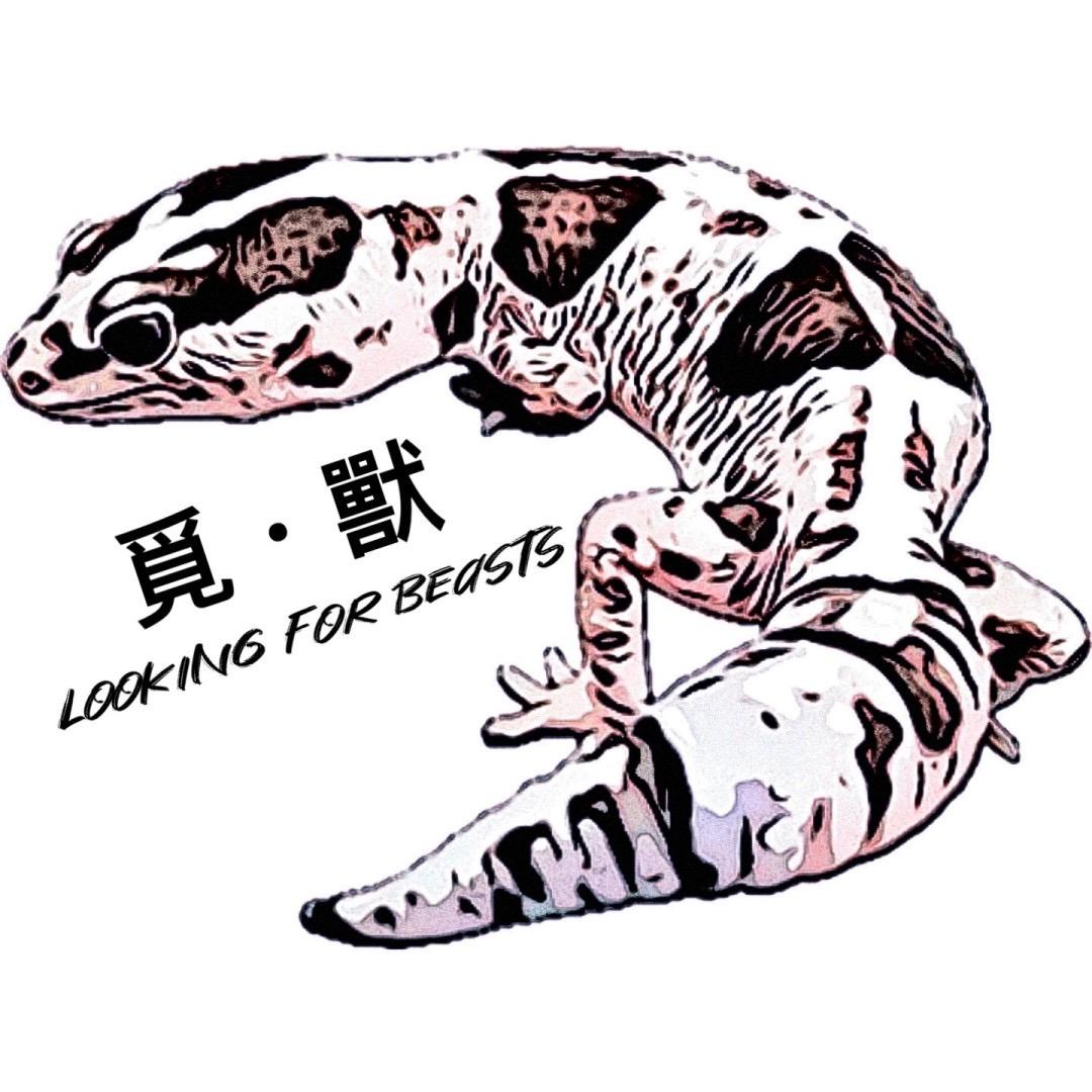 覓·獸