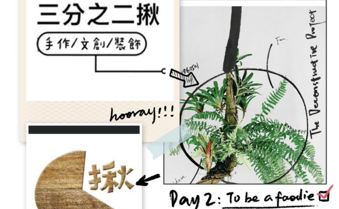 三分之二啾