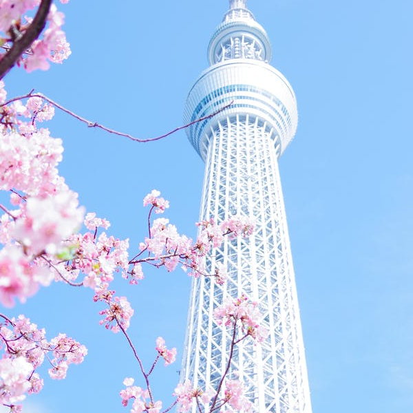 ⭐️晴空嵐嚴選⭐️