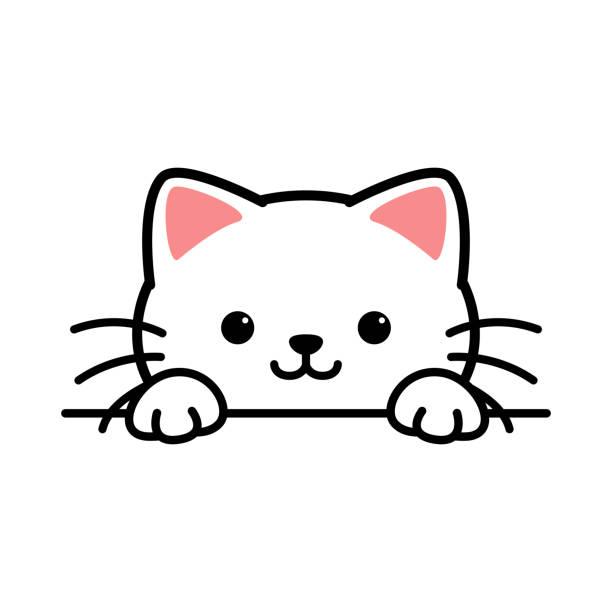 catlove