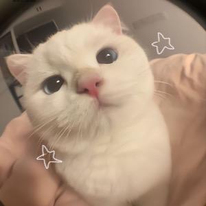 ⁺˳✧二手衣小舖 ^. .^ ੭ ˎˊ˗