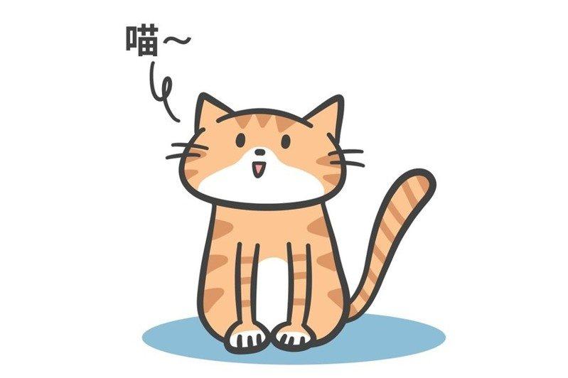 團購商品