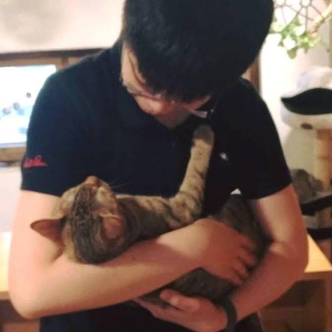 tworld二手樂高