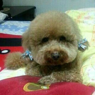 粗俗俗五金大賣場