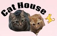 Cat House Sport