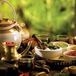 Kerala 阿育吠陀