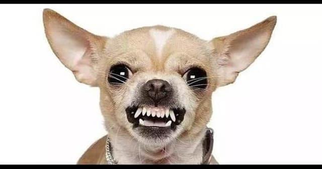 隨便賣賣の賣場