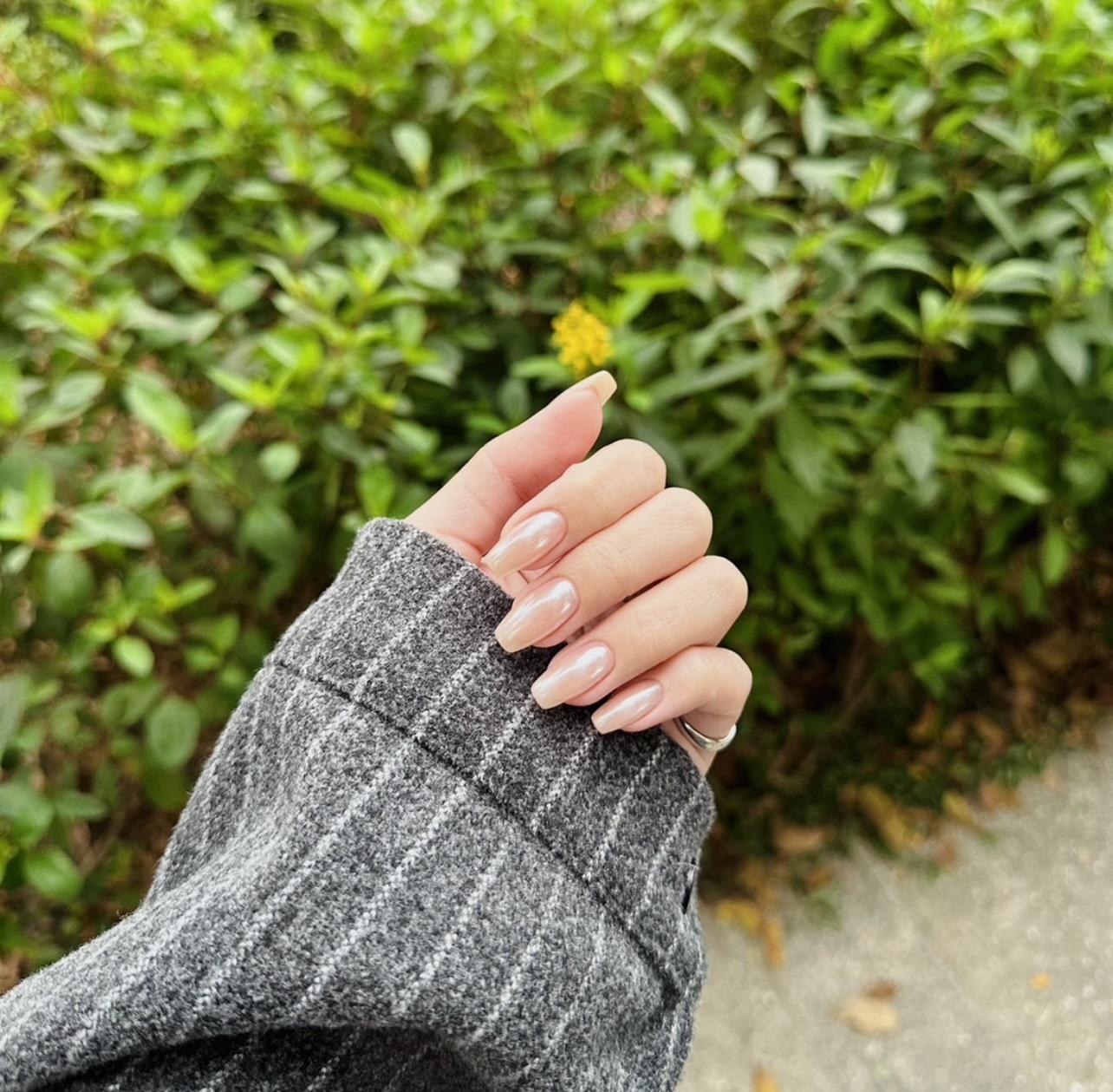 ❤️咪寶小舖❤️～Gelovery、服飾代購