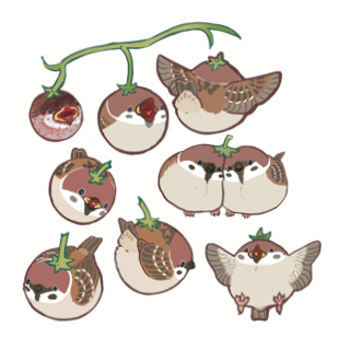 我有一群小小鳥