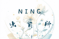 Ning的出貨所