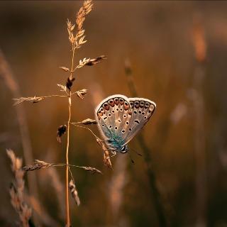 雲逸智選生活旗艦店