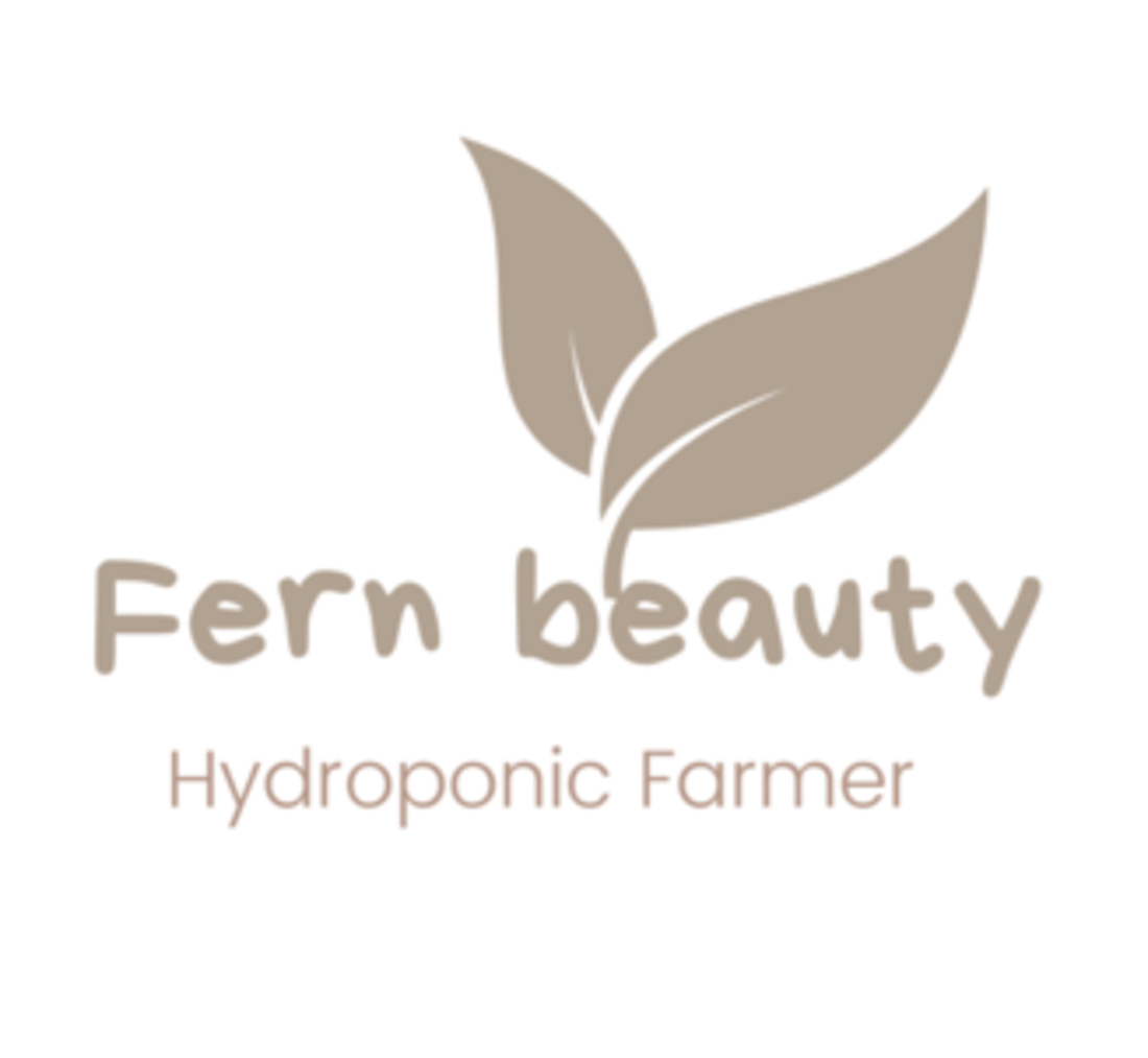 蕨美植栽 Fern Beauty