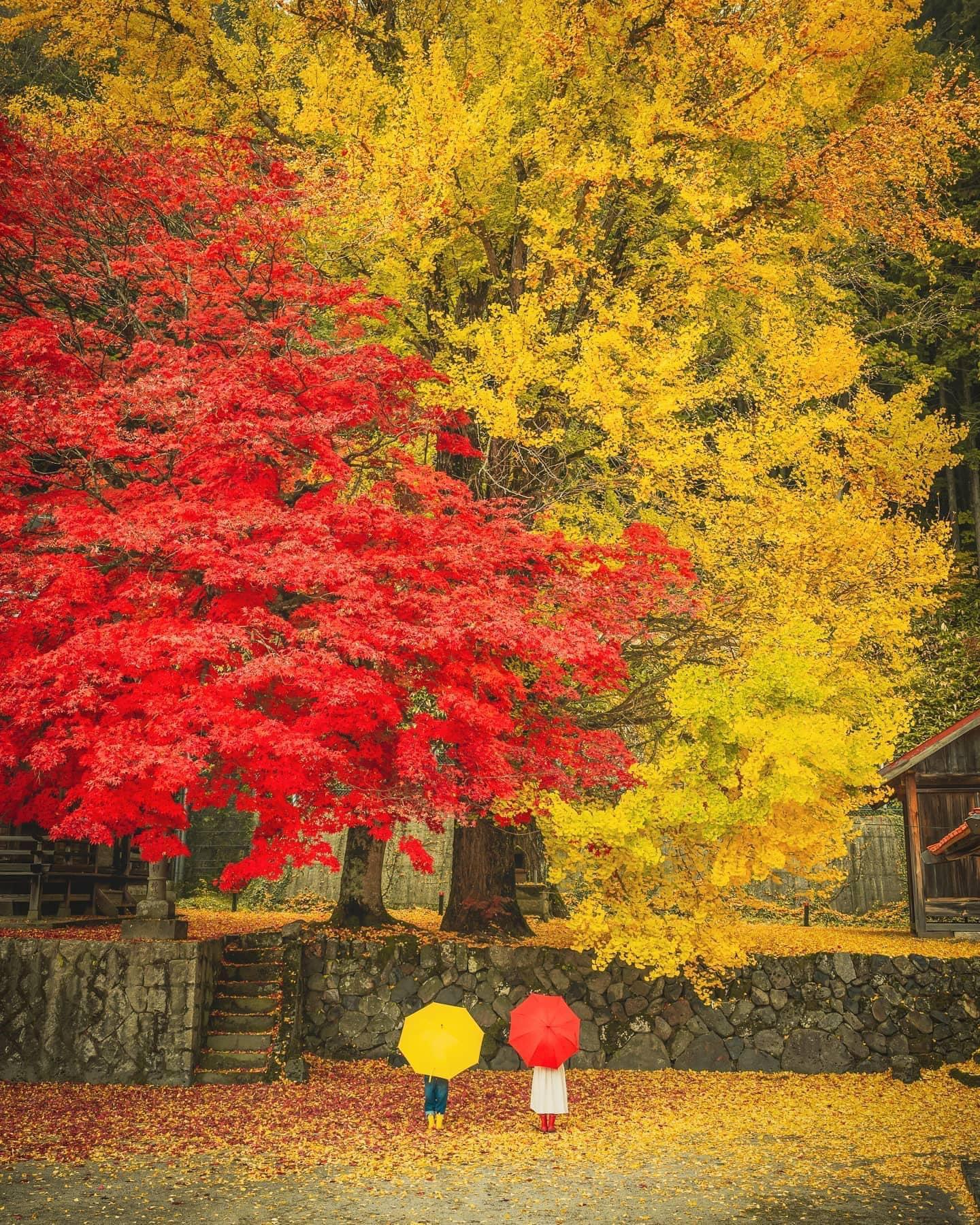 臺南將軍區農會農產品