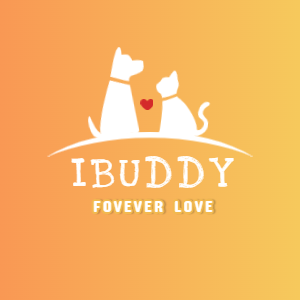 ibuddy