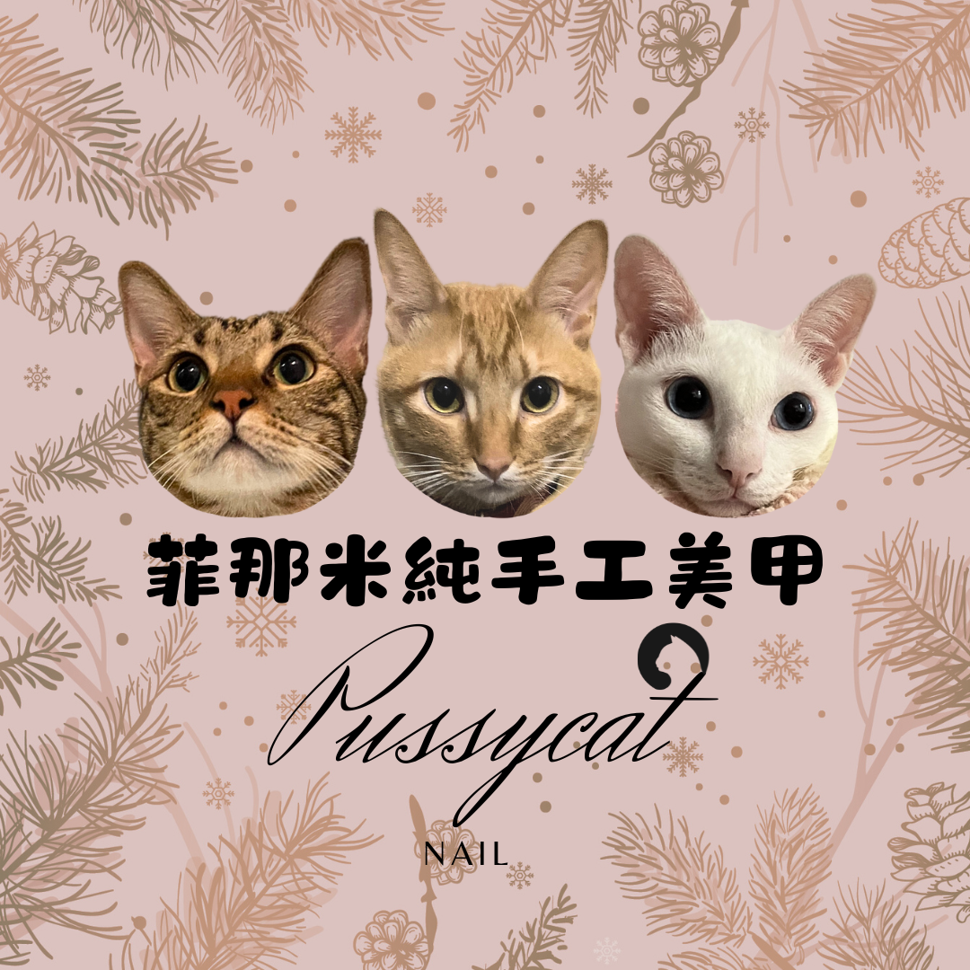 菲那米手工穿戴甲