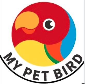 MY PET BIRD 我的寵物鳥