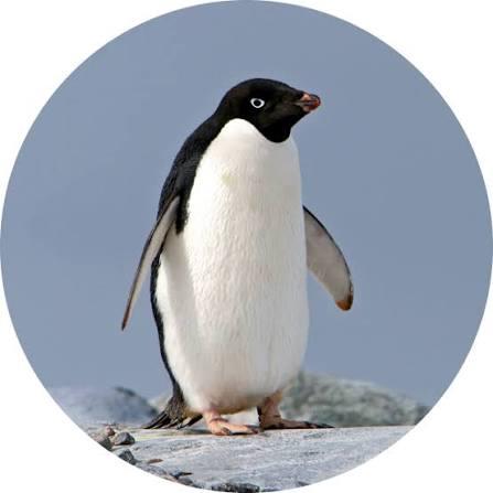 喬喬清倉的秘密基地