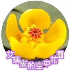 艾瑪家的空中花園