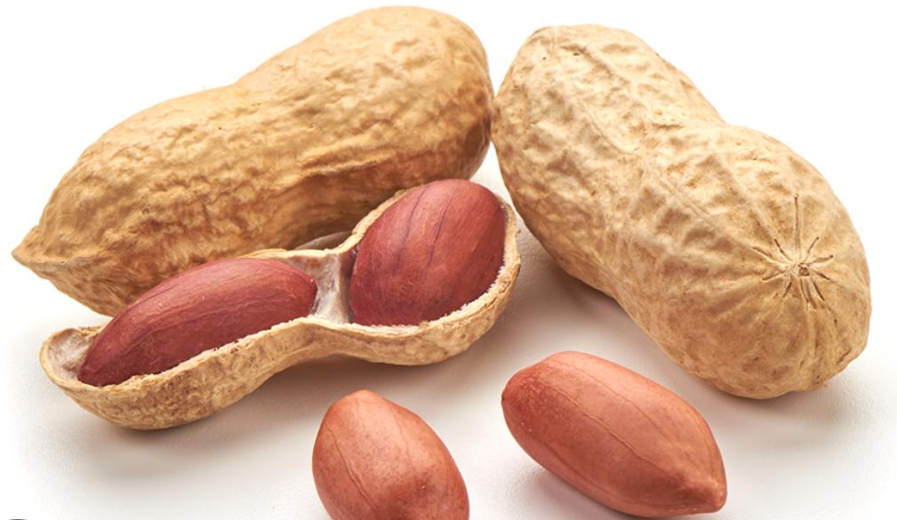 土豆媽的小天地