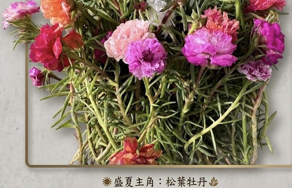退貨政策