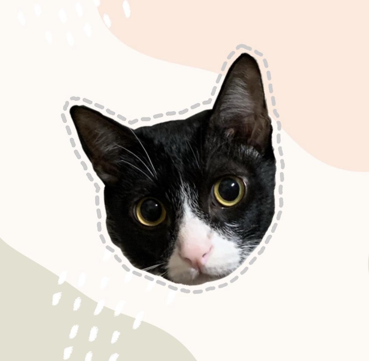 嚕嚕