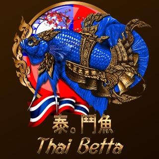 泰鬥魚 T Betta
