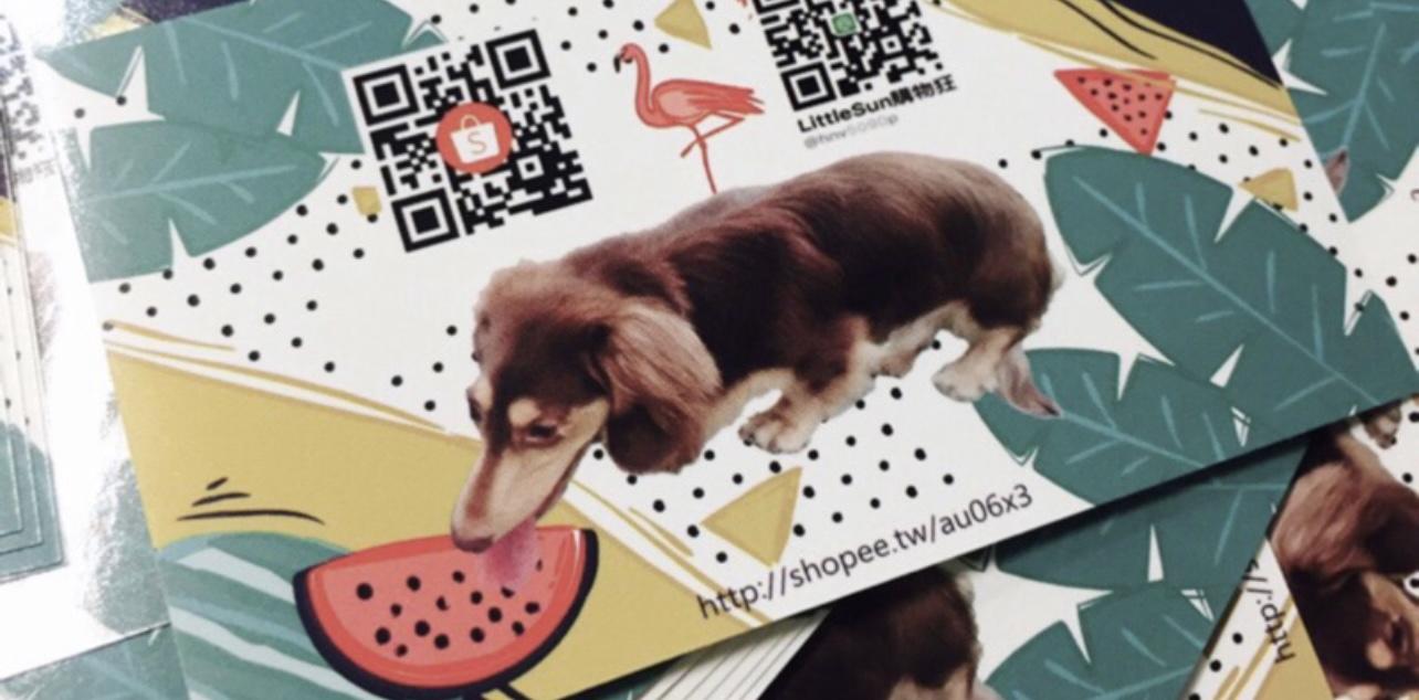 Little Sun購物狂的樂趣SHOP