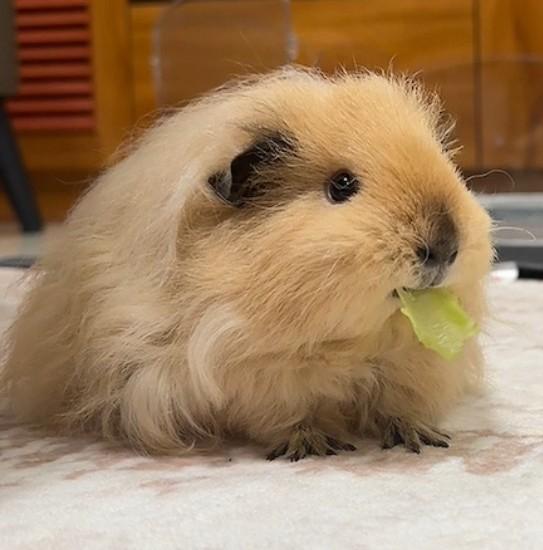 立方帆布材料行