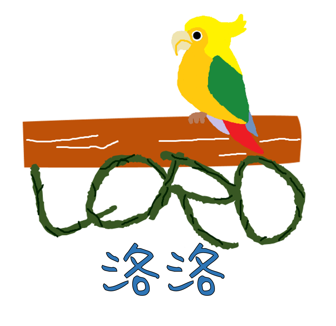 洛洛衣著