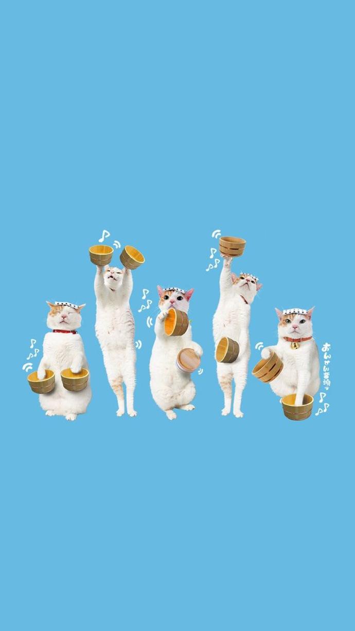 pudding連線