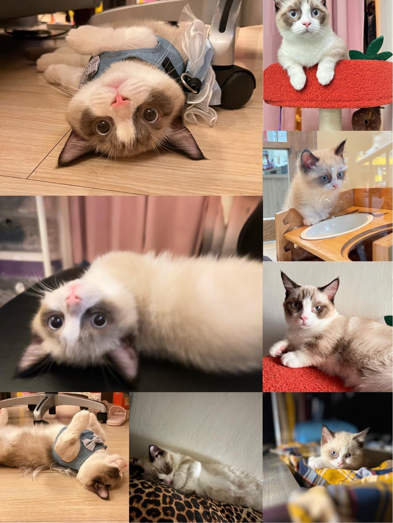 Anya.lee韓國連線代購