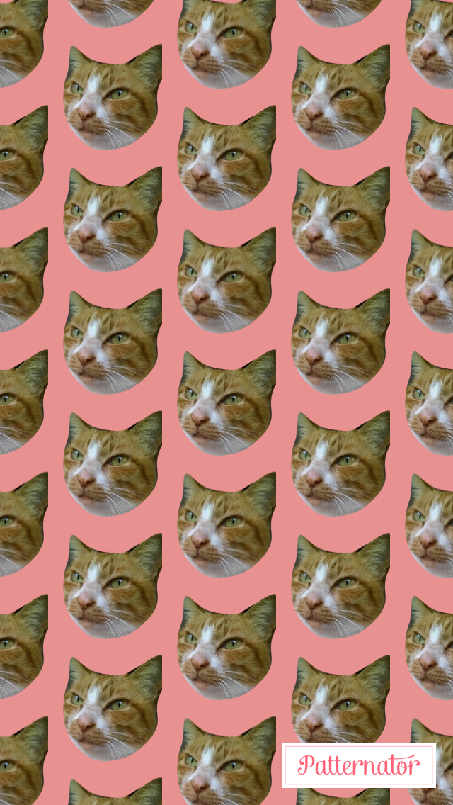 Moimoi1212 日本亞培基速得代購