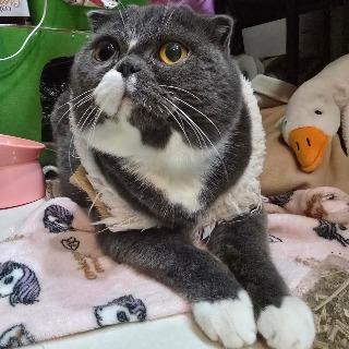 yu.vintage 古著服飾 日韓小物 汽車冷空濾芯