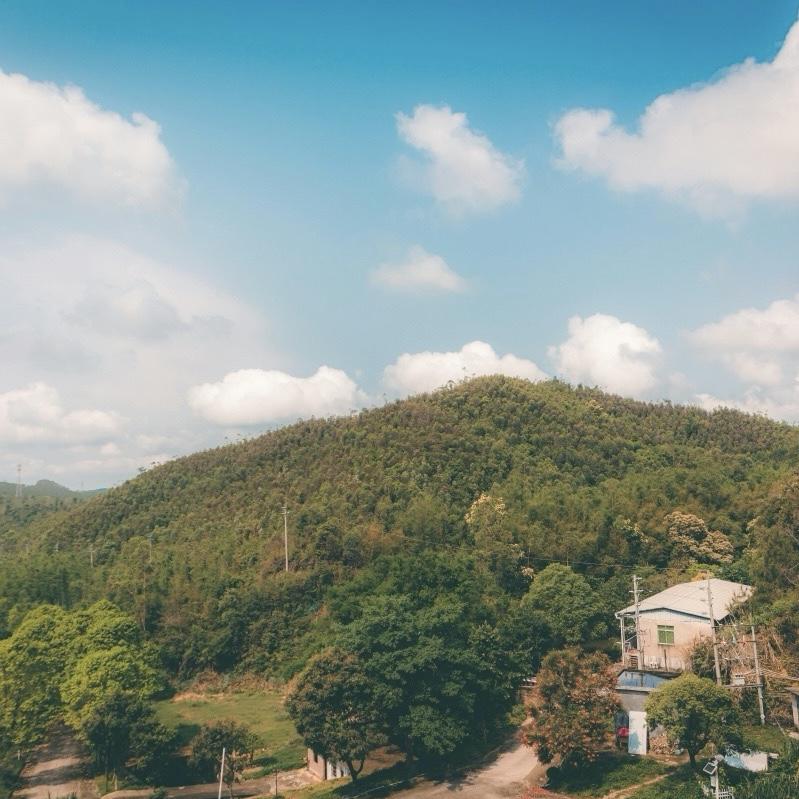 二手母嬰用品/揪團賣場