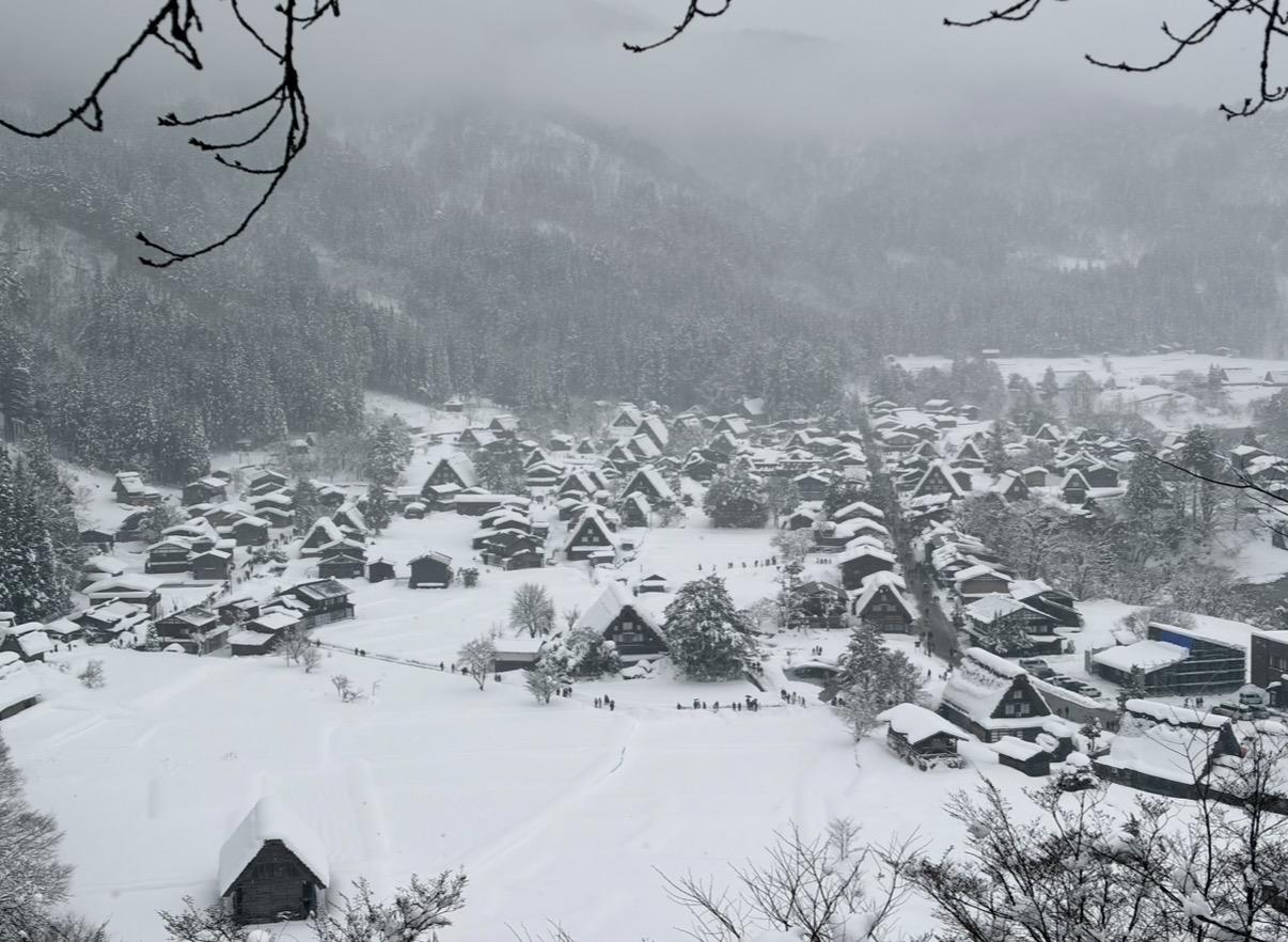 亮菁菁