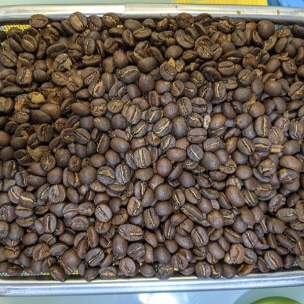 110V專用咖啡豆烘焙機/烘瓜子花生生豆烘豆機/定時爆米花機/家用小型電動烘豆機/咖啡樣品烘培機-細節圖6