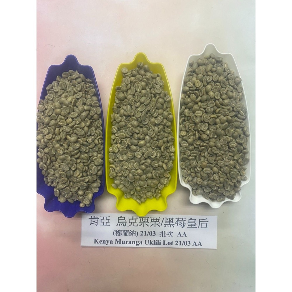 肯亞 烏克栗栗/黑莓皇后/穆蘭納/強豆來襲/2024批次 AA豆子大顆飽滿一公斤生豆-細節圖6