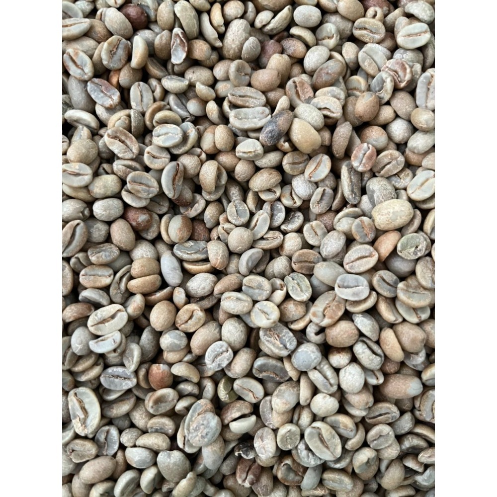 2024推薦日曬豆高CP值好豆＞＞薩爾瓦多 Finca Buenas Vista 黑美人日曬新到貨-細節圖2