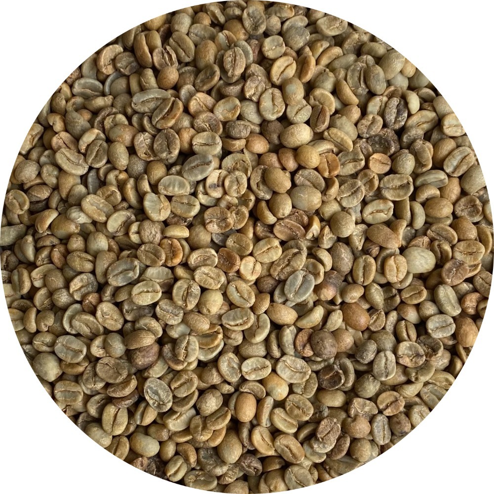 哥斯大黎加藍火山卡杜拉慢速日曬2024新批次-細節圖3