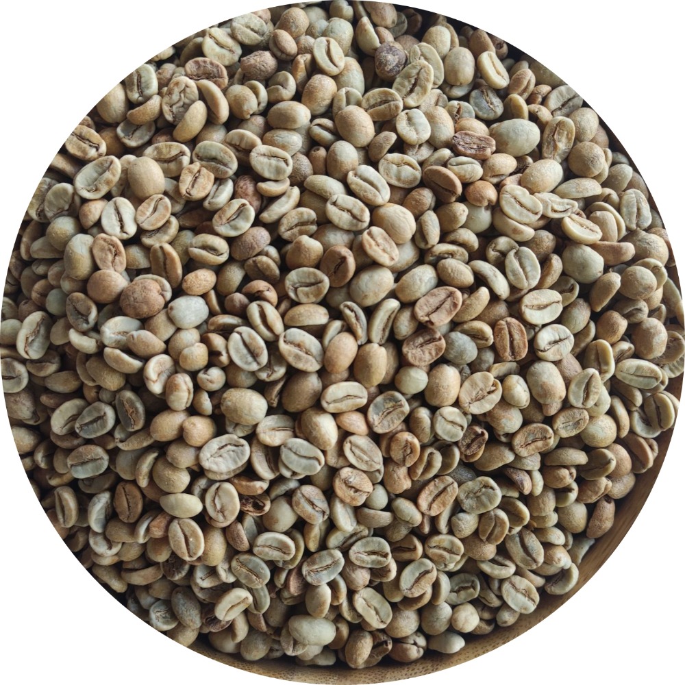 推薦 緬甸 阿洛莫合作社 厭氧日曬 超值分享價-細節圖5