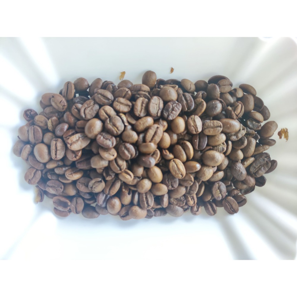 推薦 緬甸 阿洛莫合作社 厭氧日曬 超值分享價-細節圖7