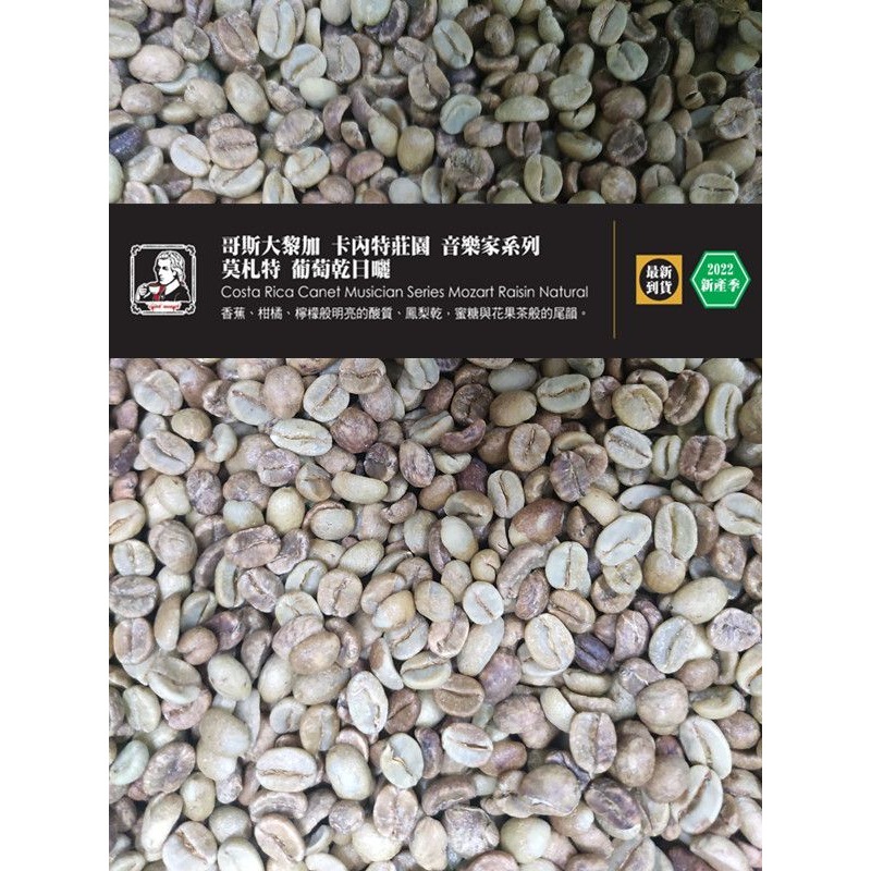 2025哥斯大黎加 卡內特 音樂家系列 莫札特 葡萄乾蜜處理-細節圖3