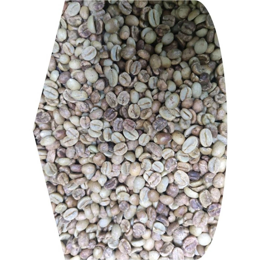 2025哥斯大黎加 卡內特 音樂家系列 莫札特 葡萄乾蜜處理-細節圖4